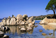 90极速和90极速比分网是什么关系？有何区别？